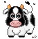 animated-cow-image-0150