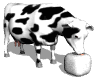 animated-cow-image-0172