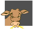 animated-cow-image-0205