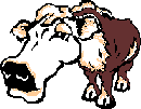animated-cow-image-0206