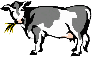 animated-cow-image-0265