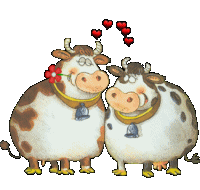 animated-cow-image-0267