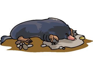 animated-mole-image-0049
