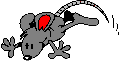 animated-mouse-image-0180