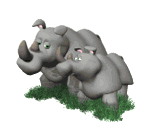 animated-rhino-image-0020