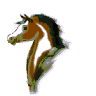 animated-horse-image-0025