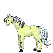 animated-horse-image-0037