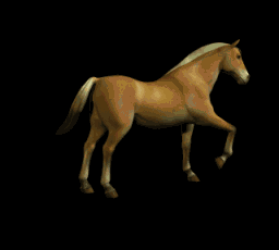 animated-horse-image-0060