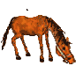 animated-horse-image-0071