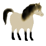 animated-horse-image-0109