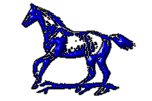 animated-horse-image-0162