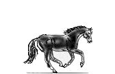 animated-horse-image-0168