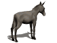animated-horse-image-0214