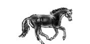 animated-horse-image-0241