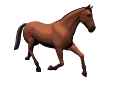 animated-horse-image-0243