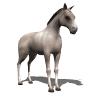 animated-horse-image-0311