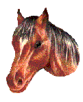 animated-horse-image-0316