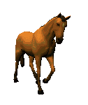 animated-horse-image-0318