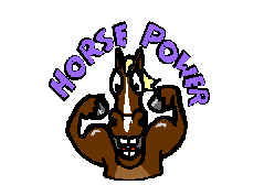 animated-horse-image-0332