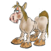 animated-horse-image-0336