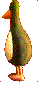animated-penguin-image-0062