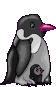 animated-penguin-image-0081