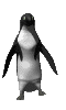 animated-penguin-image-0089
