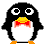 animated-penguin-image-0109