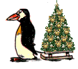 animated-penguin-image-0138