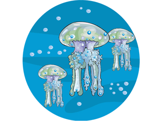 animated-jellyfish-image-0017
