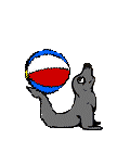 animated-seal-image-0021
