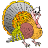animated-bird-image-0113.gif