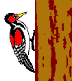 animated-bird-image-0183