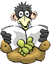 animated-bird-image-0203