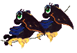 animated-bird-image-0233