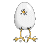 animated-bird-image-0448.gif