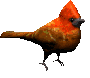 animated-bird-image-0542