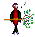 animated-bird-image-0623