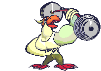 animated-bird-image-0642