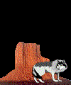 animated-wolf-image-0008