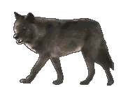 Wolves