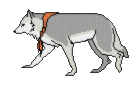 animated-wolf-image-0094