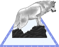 animated-wolf-image-0123