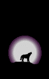 animated-wolf-image-0128