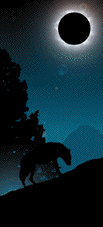 animated-wolf-image-0143