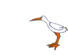 animated-worm-image-0077