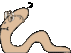 animated-worm-image-0104