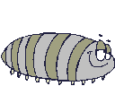 animated-worm-image-0127
