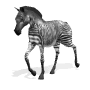 animated-zebra-image-0011