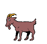 animated-goat-image-0005